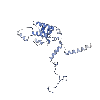 33329_7xnx_LG_v1-0
High resolution cry-EM structure of the human 80S ribosome from SNORD127+/+ Kasumi-1 cells