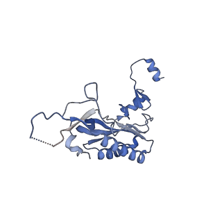 33329_7xnx_LI_v1-0
High resolution cry-EM structure of the human 80S ribosome from SNORD127+/+ Kasumi-1 cells
