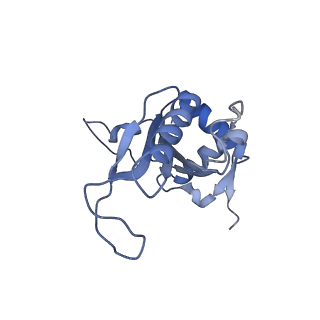 33329_7xnx_LJ_v1-0
High resolution cry-EM structure of the human 80S ribosome from SNORD127+/+ Kasumi-1 cells