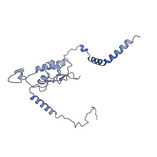 33329_7xnx_LL_v1-0
High resolution cry-EM structure of the human 80S ribosome from SNORD127+/+ Kasumi-1 cells