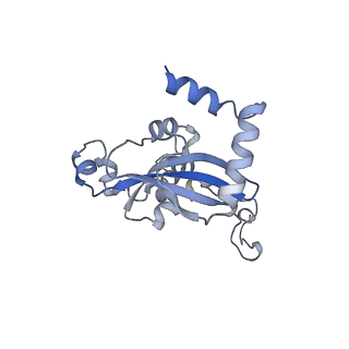 33329_7xnx_LN_v1-0
High resolution cry-EM structure of the human 80S ribosome from SNORD127+/+ Kasumi-1 cells