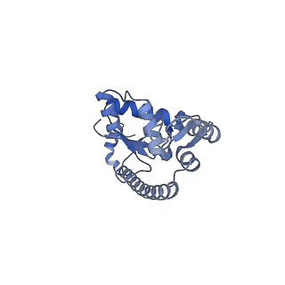 33329_7xnx_LO_v1-0
High resolution cry-EM structure of the human 80S ribosome from SNORD127+/+ Kasumi-1 cells