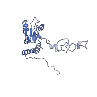 33329_7xnx_LQ_v1-0
High resolution cry-EM structure of the human 80S ribosome from SNORD127+/+ Kasumi-1 cells