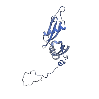 33329_7xnx_LS_v1-0
High resolution cry-EM structure of the human 80S ribosome from SNORD127+/+ Kasumi-1 cells