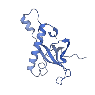 33329_7xnx_LZ_v1-0
High resolution cry-EM structure of the human 80S ribosome from SNORD127+/+ Kasumi-1 cells