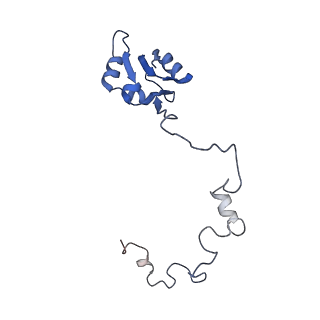 33329_7xnx_La_v1-0
High resolution cry-EM structure of the human 80S ribosome from SNORD127+/+ Kasumi-1 cells