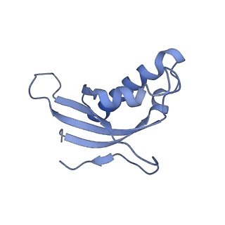 33329_7xnx_Ld_v1-0
High resolution cry-EM structure of the human 80S ribosome from SNORD127+/+ Kasumi-1 cells