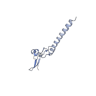 33329_7xnx_Lg_v1-0
High resolution cry-EM structure of the human 80S ribosome from SNORD127+/+ Kasumi-1 cells