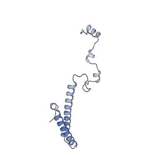 33329_7xnx_Lh_v1-0
High resolution cry-EM structure of the human 80S ribosome from SNORD127+/+ Kasumi-1 cells