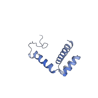 33329_7xnx_Li_v1-0
High resolution cry-EM structure of the human 80S ribosome from SNORD127+/+ Kasumi-1 cells