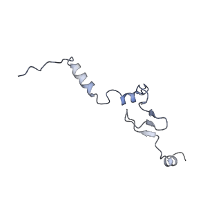 33329_7xnx_Lj_v1-0
High resolution cry-EM structure of the human 80S ribosome from SNORD127+/+ Kasumi-1 cells