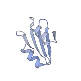 33329_7xnx_Lk_v1-0
High resolution cry-EM structure of the human 80S ribosome from SNORD127+/+ Kasumi-1 cells