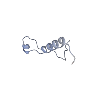 33329_7xnx_Ll_v1-0
High resolution cry-EM structure of the human 80S ribosome from SNORD127+/+ Kasumi-1 cells