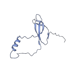 33329_7xnx_Lo_v1-0
High resolution cry-EM structure of the human 80S ribosome from SNORD127+/+ Kasumi-1 cells