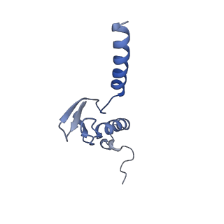 33329_7xnx_Lp_v1-0
High resolution cry-EM structure of the human 80S ribosome from SNORD127+/+ Kasumi-1 cells