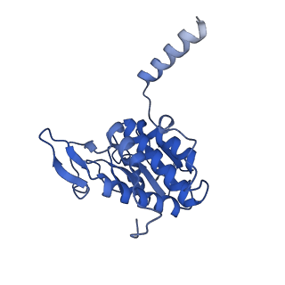33329_7xnx_SA_v1-0
High resolution cry-EM structure of the human 80S ribosome from SNORD127+/+ Kasumi-1 cells