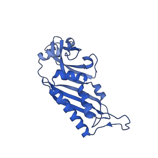 33329_7xnx_SB_v1-0
High resolution cry-EM structure of the human 80S ribosome from SNORD127+/+ Kasumi-1 cells
