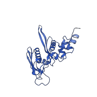 33329_7xnx_SC_v1-0
High resolution cry-EM structure of the human 80S ribosome from SNORD127+/+ Kasumi-1 cells