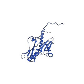 33329_7xnx_SD_v1-0
High resolution cry-EM structure of the human 80S ribosome from SNORD127+/+ Kasumi-1 cells