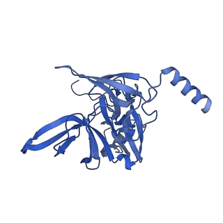 33329_7xnx_SE_v1-0
High resolution cry-EM structure of the human 80S ribosome from SNORD127+/+ Kasumi-1 cells