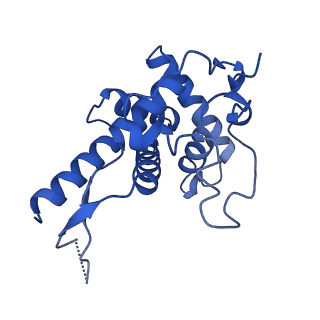 33329_7xnx_SF_v1-0
High resolution cry-EM structure of the human 80S ribosome from SNORD127+/+ Kasumi-1 cells