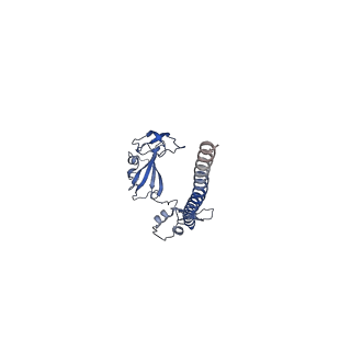 33329_7xnx_SG_v1-0
High resolution cry-EM structure of the human 80S ribosome from SNORD127+/+ Kasumi-1 cells