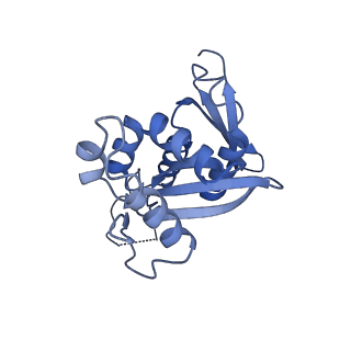33329_7xnx_SH_v1-0
High resolution cry-EM structure of the human 80S ribosome from SNORD127+/+ Kasumi-1 cells