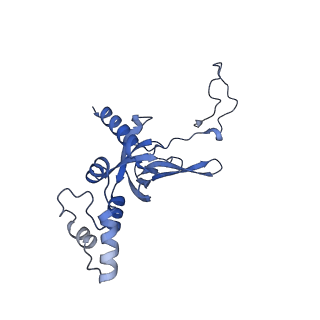 33329_7xnx_SI_v1-0
High resolution cry-EM structure of the human 80S ribosome from SNORD127+/+ Kasumi-1 cells