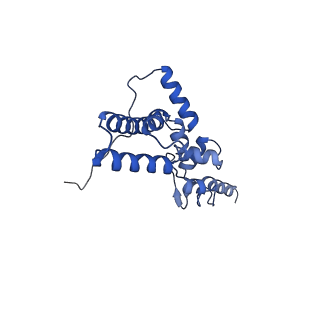 33329_7xnx_SJ_v1-0
High resolution cry-EM structure of the human 80S ribosome from SNORD127+/+ Kasumi-1 cells