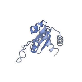 33329_7xnx_SM_v1-0
High resolution cry-EM structure of the human 80S ribosome from SNORD127+/+ Kasumi-1 cells