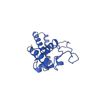 33329_7xnx_SN_v1-0
High resolution cry-EM structure of the human 80S ribosome from SNORD127+/+ Kasumi-1 cells