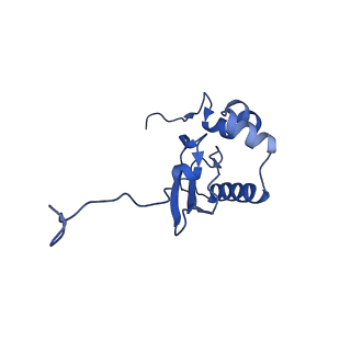 33329_7xnx_SP_v1-0
High resolution cry-EM structure of the human 80S ribosome from SNORD127+/+ Kasumi-1 cells