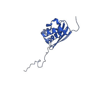 33329_7xnx_SQ_v1-0
High resolution cry-EM structure of the human 80S ribosome from SNORD127+/+ Kasumi-1 cells