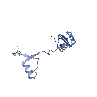 33329_7xnx_SR_v1-0
High resolution cry-EM structure of the human 80S ribosome from SNORD127+/+ Kasumi-1 cells