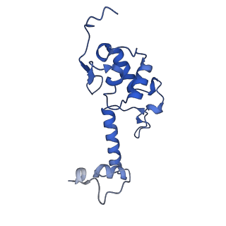 33329_7xnx_SS_v1-0
High resolution cry-EM structure of the human 80S ribosome from SNORD127+/+ Kasumi-1 cells