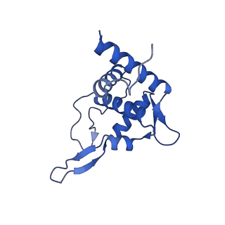 33329_7xnx_ST_v1-0
High resolution cry-EM structure of the human 80S ribosome from SNORD127+/+ Kasumi-1 cells