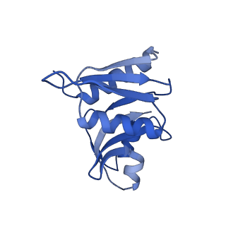 33329_7xnx_SW_v1-0
High resolution cry-EM structure of the human 80S ribosome from SNORD127+/+ Kasumi-1 cells