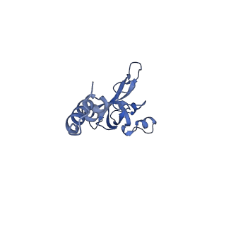 33329_7xnx_SX_v1-0
High resolution cry-EM structure of the human 80S ribosome from SNORD127+/+ Kasumi-1 cells