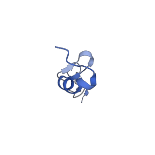 33329_7xnx_Sd_v1-0
High resolution cry-EM structure of the human 80S ribosome from SNORD127+/+ Kasumi-1 cells