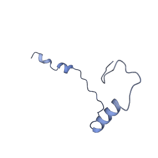 33329_7xnx_Se_v1-0
High resolution cry-EM structure of the human 80S ribosome from SNORD127+/+ Kasumi-1 cells