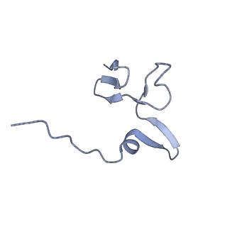 33329_7xnx_Sf_v1-0
High resolution cry-EM structure of the human 80S ribosome from SNORD127+/+ Kasumi-1 cells