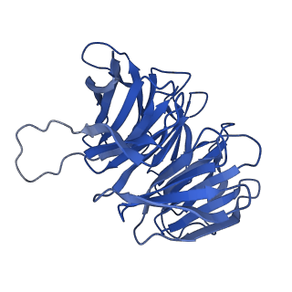 33329_7xnx_Sg_v1-0
High resolution cry-EM structure of the human 80S ribosome from SNORD127+/+ Kasumi-1 cells