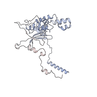 33330_7xny_LD_v1-0
High resolution cry-EM structure of the human 80S ribosome from SNORD127+/- Kasumi-1 cells