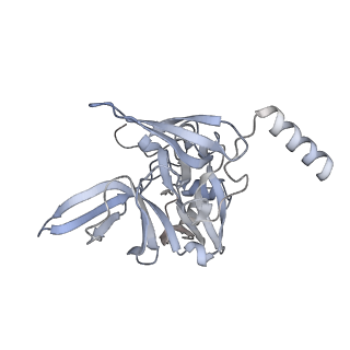 33330_7xny_SE_v1-0
High resolution cry-EM structure of the human 80S ribosome from SNORD127+/- Kasumi-1 cells