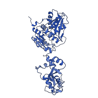33331_7xnz_A_v1-1
Native cystathionine beta-synthase of Mycobacterium tuberculosis.