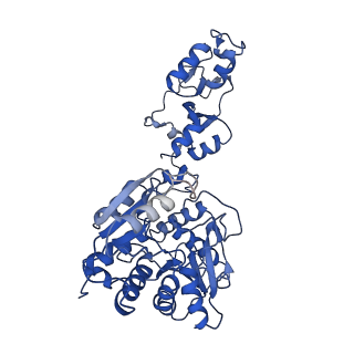 33331_7xnz_B_v1-1
Native cystathionine beta-synthase of Mycobacterium tuberculosis.