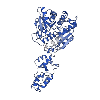 33331_7xnz_C_v1-1
Native cystathionine beta-synthase of Mycobacterium tuberculosis.