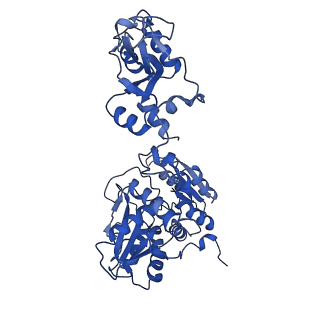 33331_7xnz_D_v1-1
Native cystathionine beta-synthase of Mycobacterium tuberculosis.
