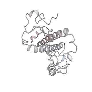 6741_5xnl_1_v2-0
Structure of stacked C2S2M2-type PSII-LHCII supercomplex from Pisum sativum