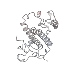 6741_5xnl_2_v2-0
Structure of stacked C2S2M2-type PSII-LHCII supercomplex from Pisum sativum